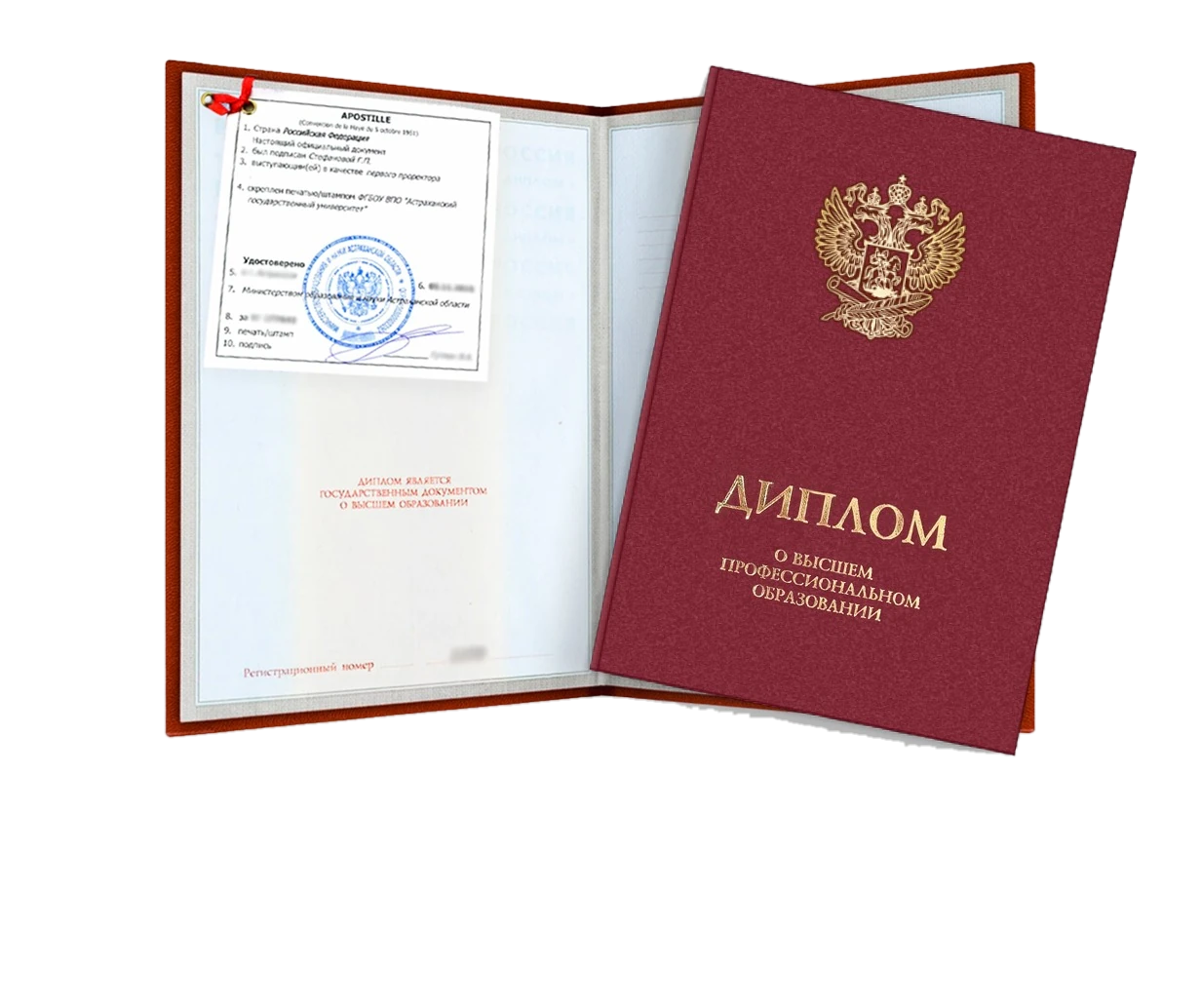Перевод диплома на немецкий язык