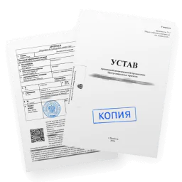 Апостиль на копию устава